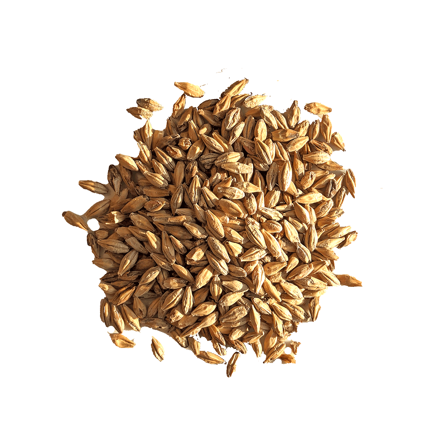 malt diastatique whisky