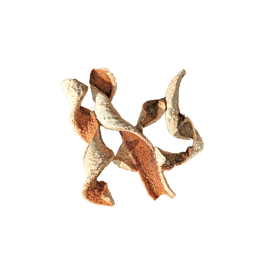 ecorce-orange-amere