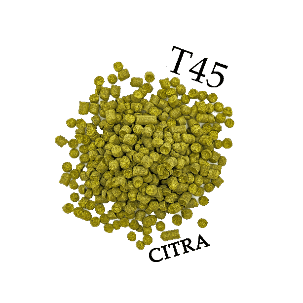 Houblon T45 Citra (US)