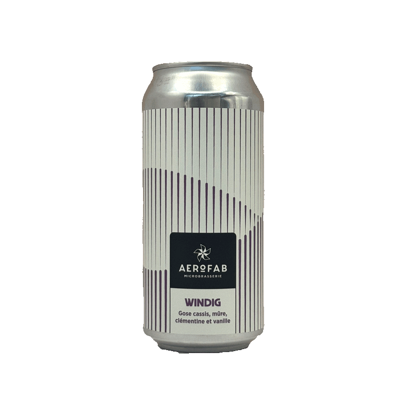 aerofab-windig-gose