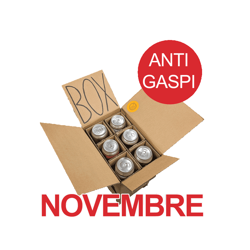 Box Anti-Gaspi du mois de Novembre - 6 bières