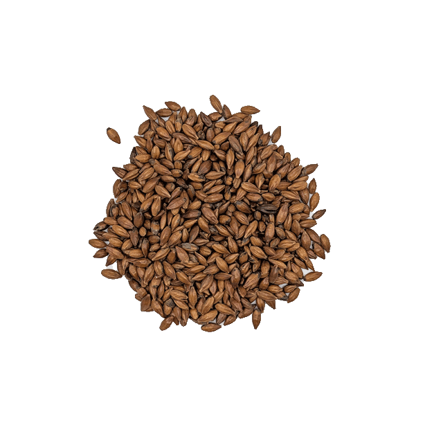 malt pale chocolat