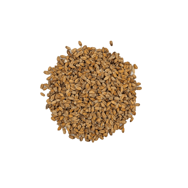 wheat-dark