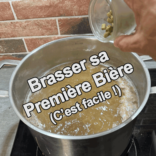 Faire sa première bière : guide débutant pour brasser en tout grain.