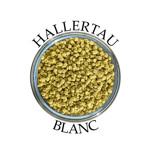 houblon-pellets-hallertau-blanc