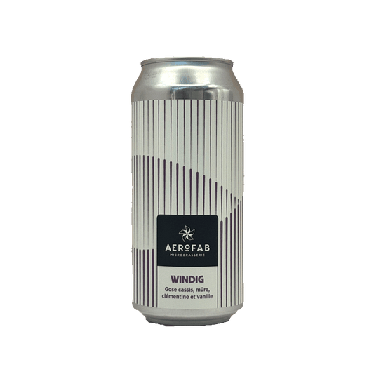 aerofab-windig-gose
