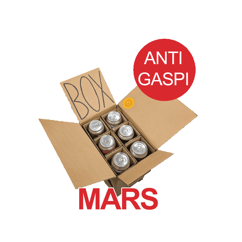 Box Anti-Gaspi du mois de Mars - 6 bières