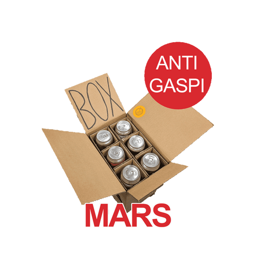 Box Anti-Gaspi du mois de Mars - 6 bières