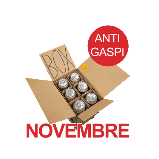 Box Anti-Gaspi du mois de Novembre - 6 bières