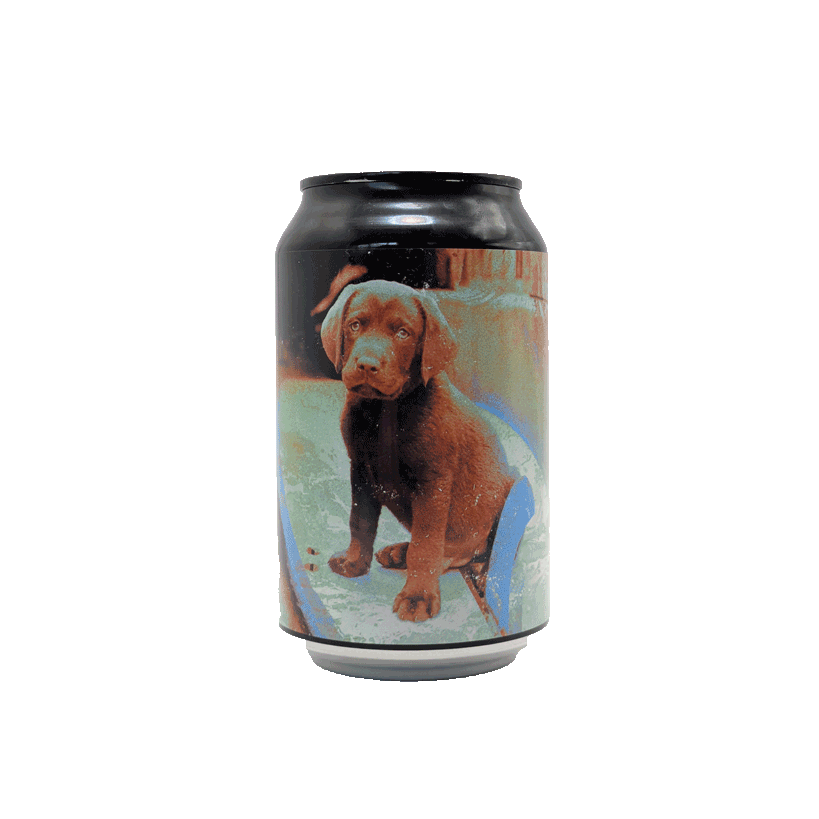 dark-lab-dogtown-ipa