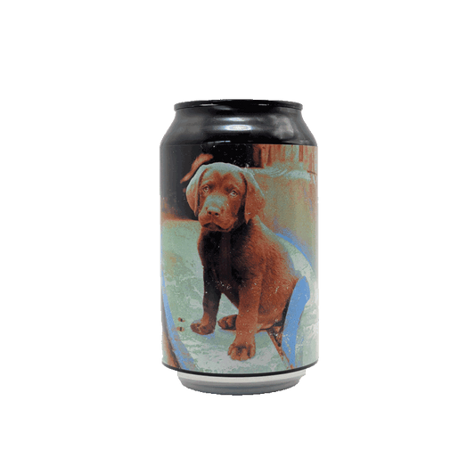 dark-lab-dogtown-ipa