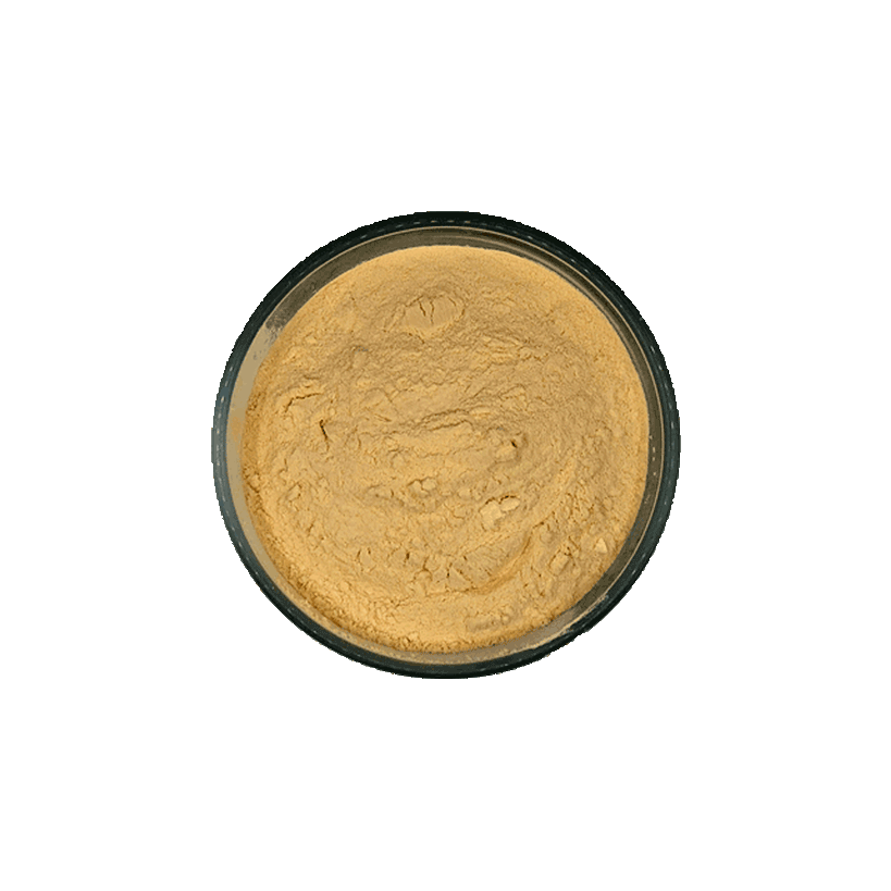 extrait-malt-dark-foncé