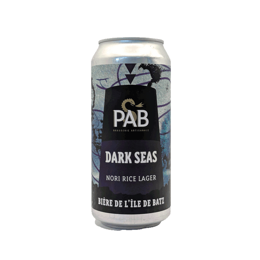 fusion-dark-seas-rice-lager