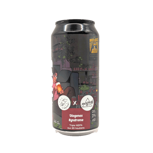 l-instant-diogenes-syndrome-tipa