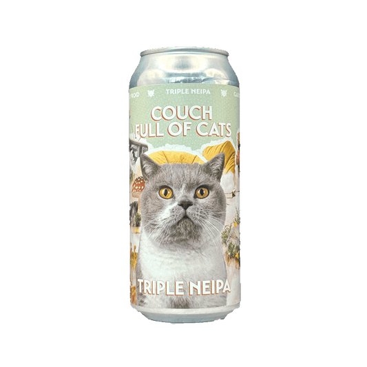 noctem-couch-full-of-cats-tipa