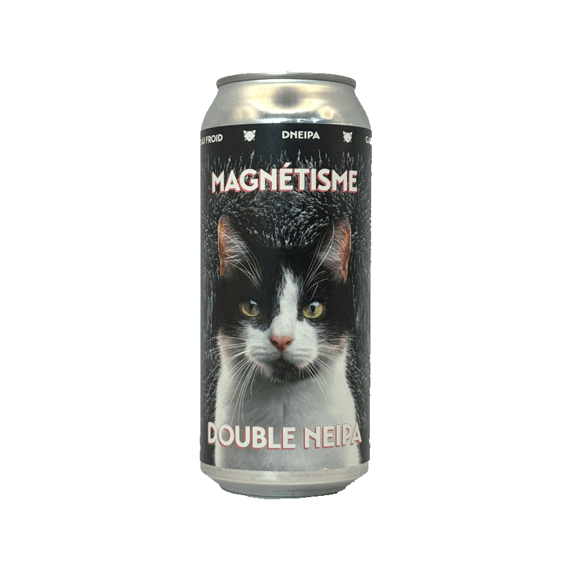 noctem-magnetisme-dipa