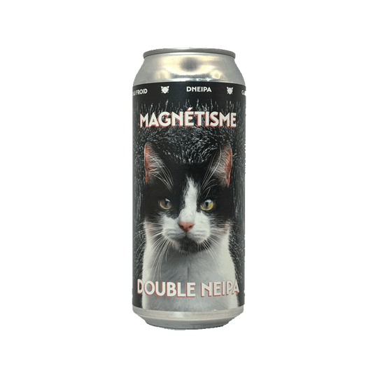 noctem-magnetisme-dipa