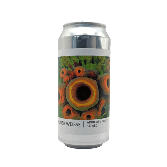 popihn-berliner-weisse-abricot