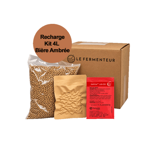 recharge-4l-ambree