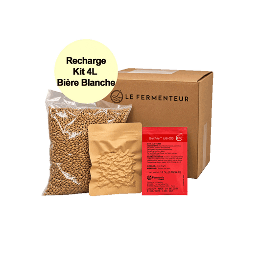 recharge-4l-blanche