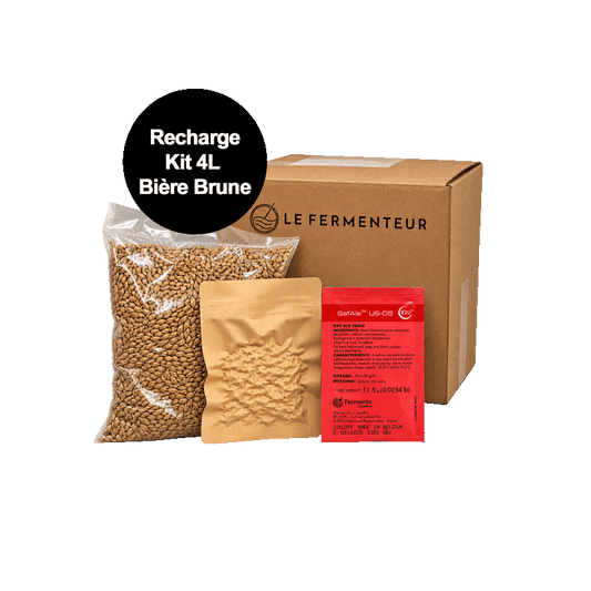 recharge-4l-brune