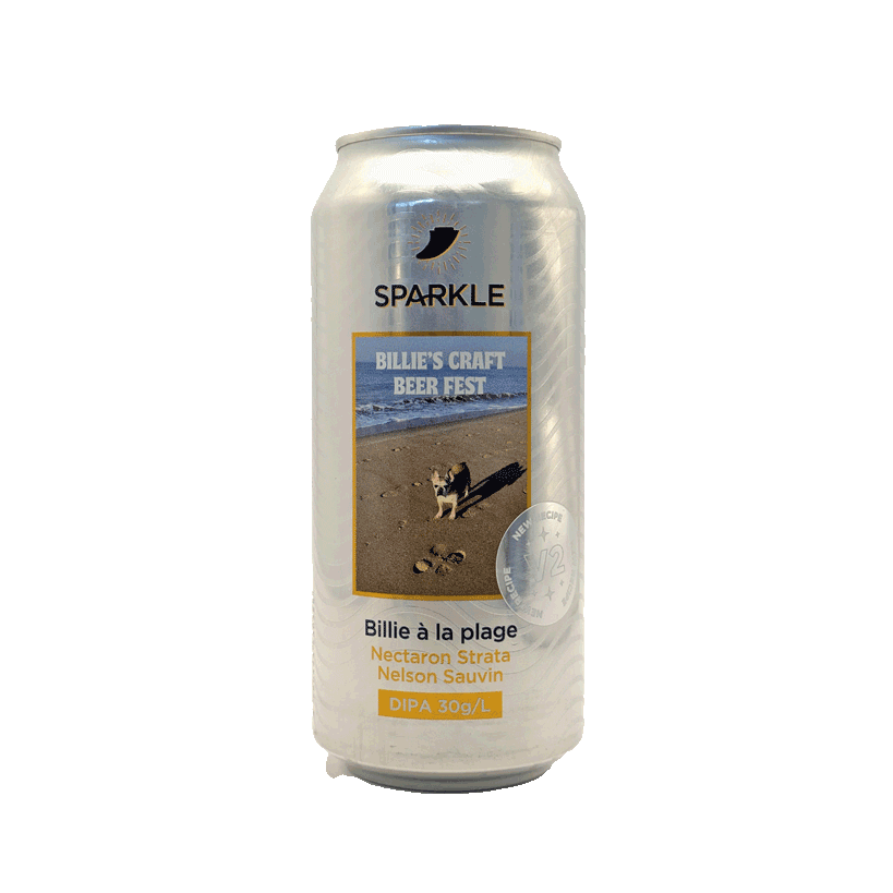 sparkle-billie-a-la-plage-v2-dipa