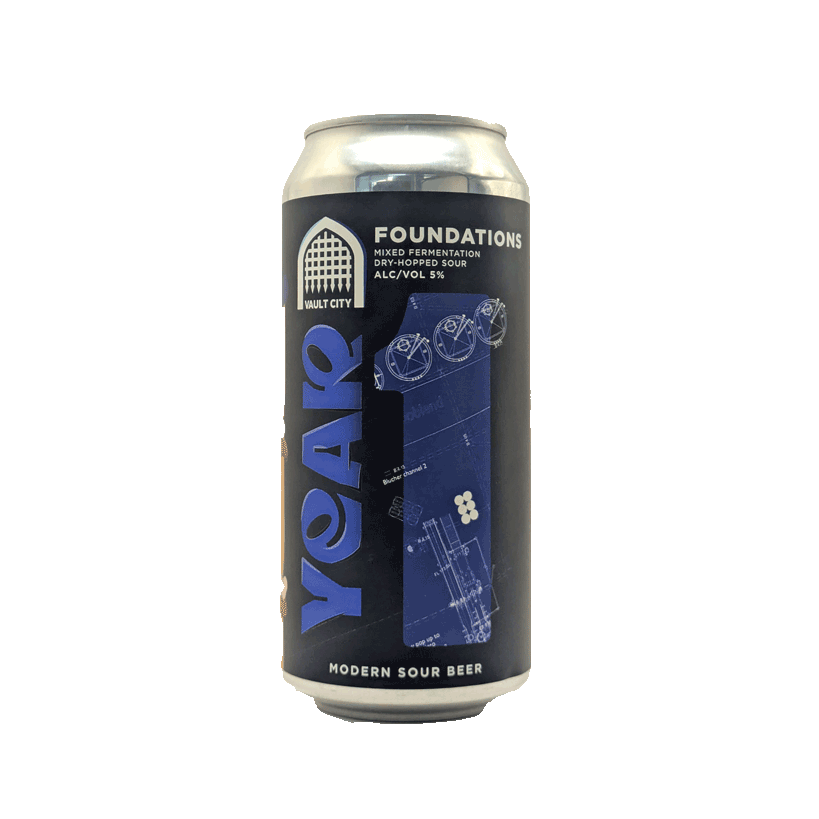 vault-city-year-1-foundations-sour